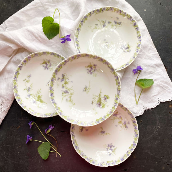 antique-haviland-limoges-berry