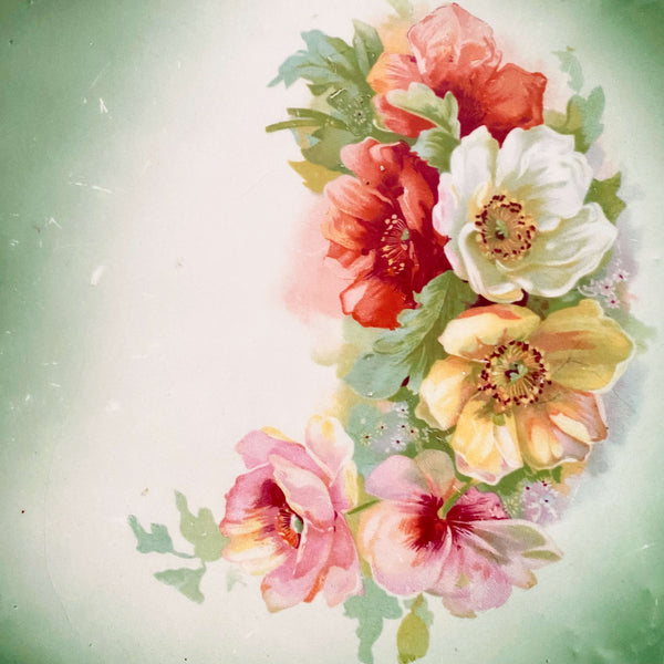 Antique Green Poppy Floral Plate - Art China by Taylor Smith