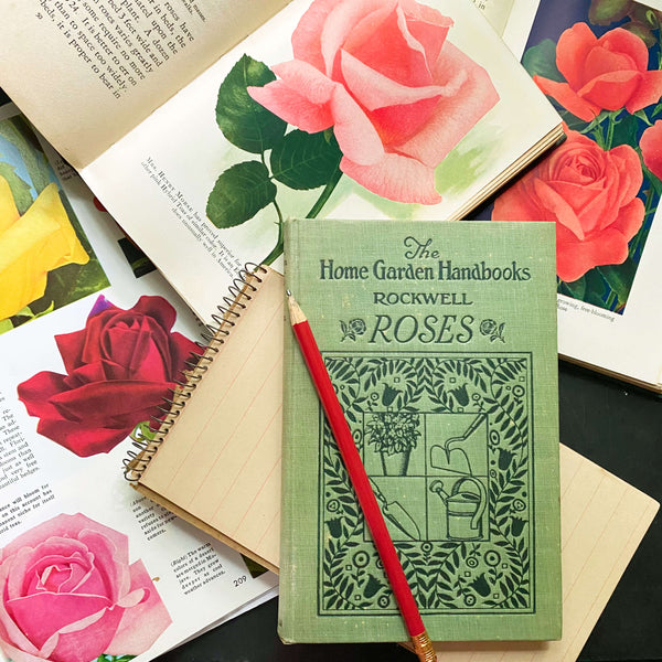 Roses by F.F. Rockwell - The Home Garden Handbooks Series circa