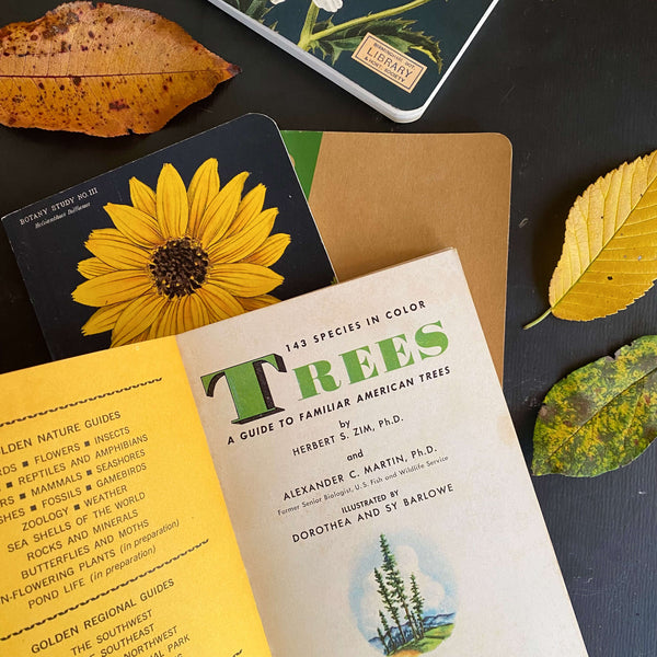 Vintage 1950s Tree Identification Book circa 1956 by Golden Press In