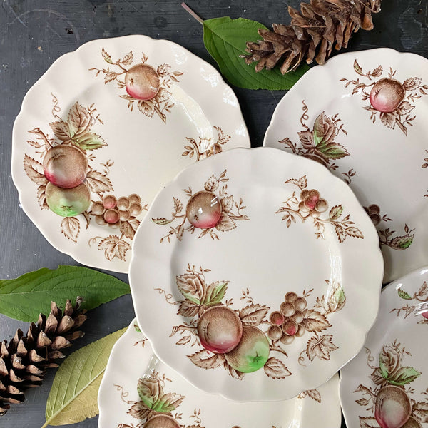 Johnson dinnerware best sale