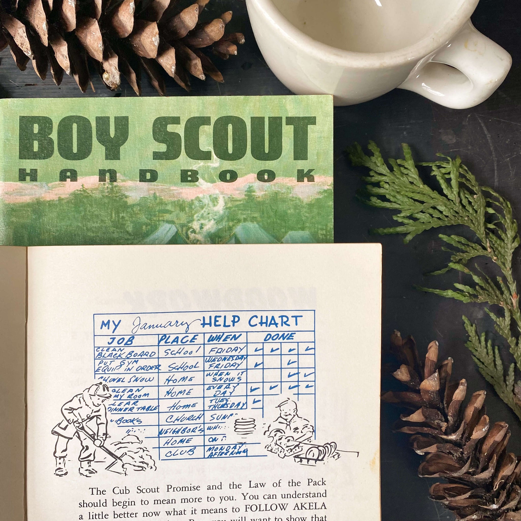 Vintage Midcentury Boy Scout & Cub Scout Book Collection - Set of Three - Bear, Wolf & Boy Scout circa 1959-1967