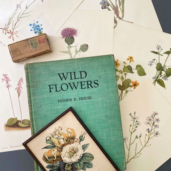 wild-flowers-homer-d-house-