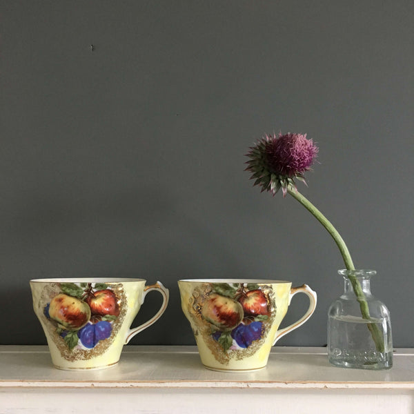 Vintage 1940's Royal Halsey Porcelain Teacups - Apple and Plum