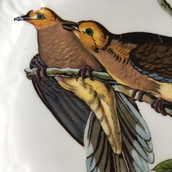 IMG_6529_1_grande.JPG?v=1551542078