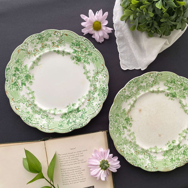 antique-johnson-bros-plates-