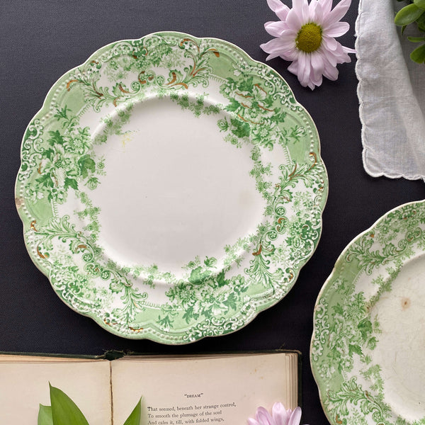 Antique Johnson Bros Florentine Luncheon Plates circa 1913 – In