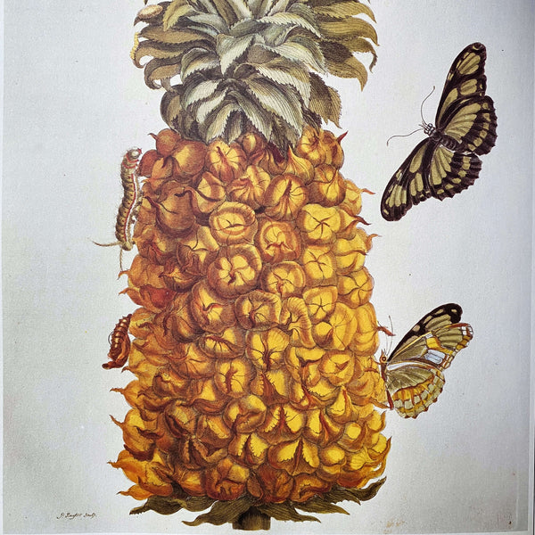 BOTANICAL RINKSページ Vintage 1980s Botanical Art Book - The Art of The Plant World