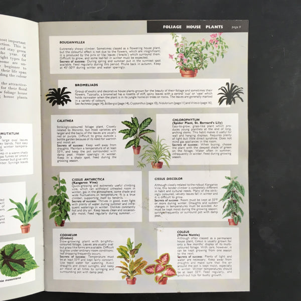 Be Your Own House Plant Expert - Dr. D.G. Hessayon - 1970s Indoor