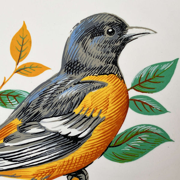 絵画 bird Vintage Baltimore Oriole Ceramic Tile Trivet - Botanical Bird