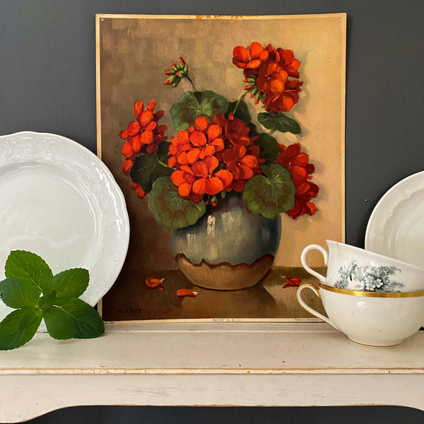 Vintage H.S. Berg Geranium Still Life Print Edition Stehli Printed