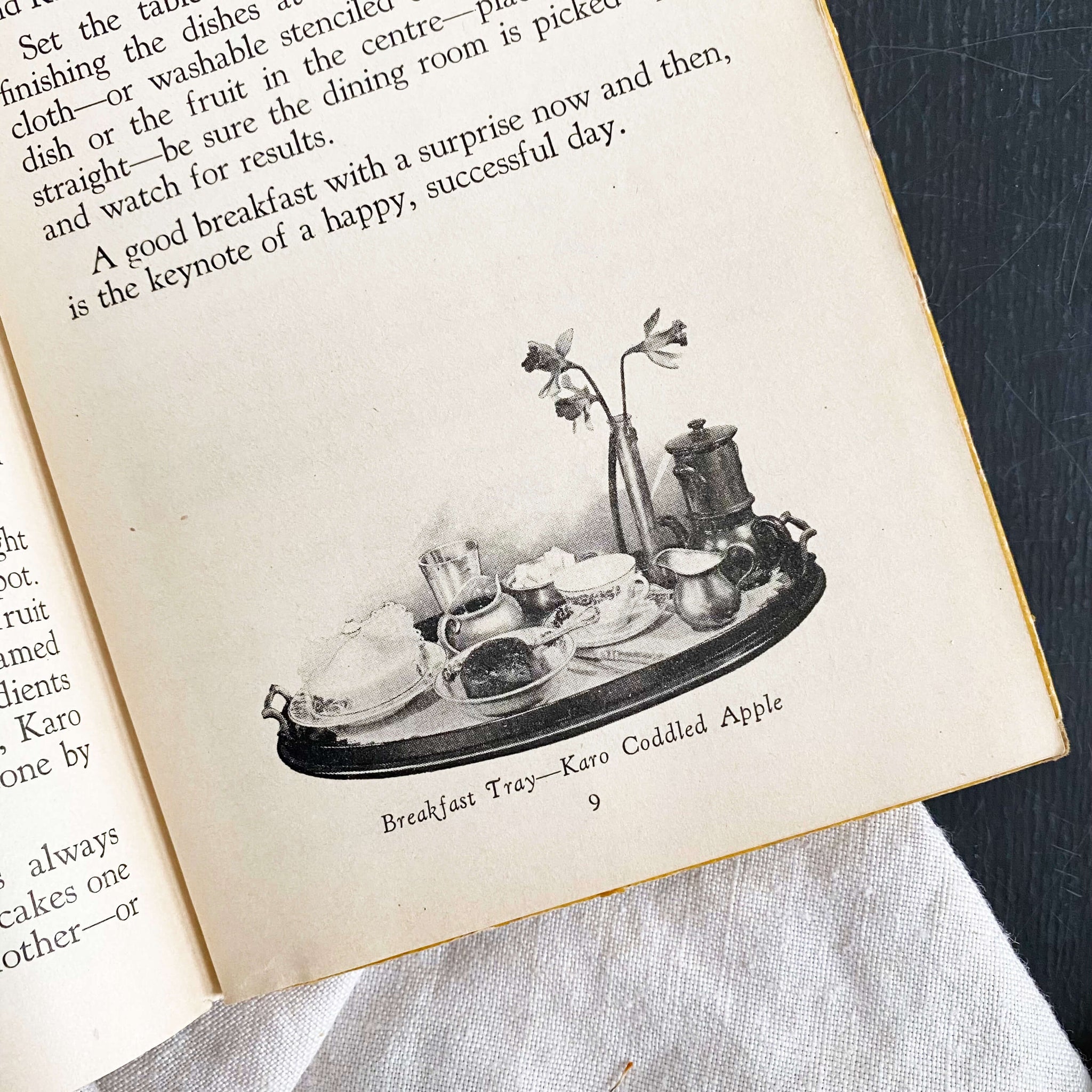 The Modern Method of Preparing Delightful Foods by Ida Bailey Allen - 1927 Edition Second Printing