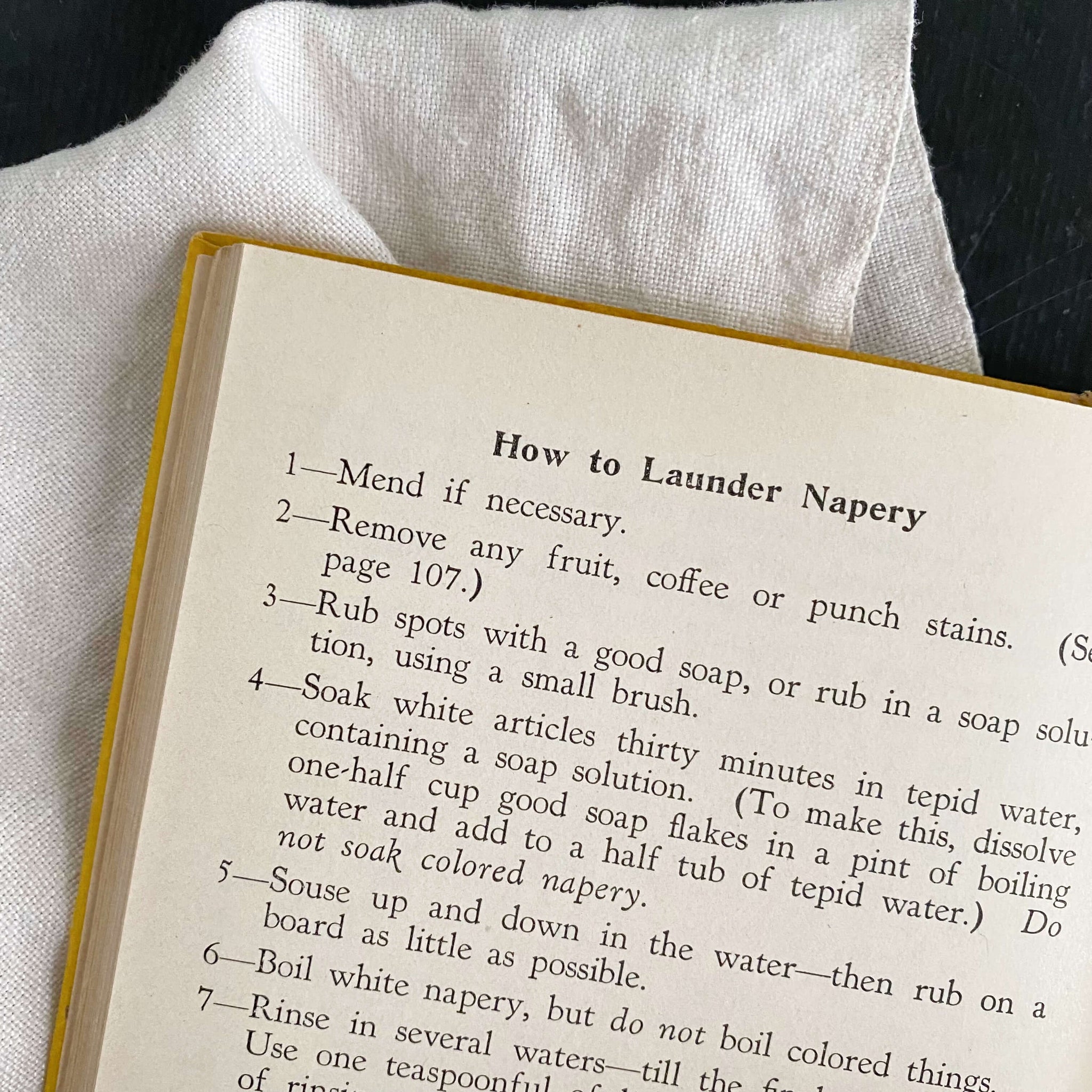 The Modern Method of Preparing Delightful Foods by Ida Bailey Allen - 1927 Edition Second Printing