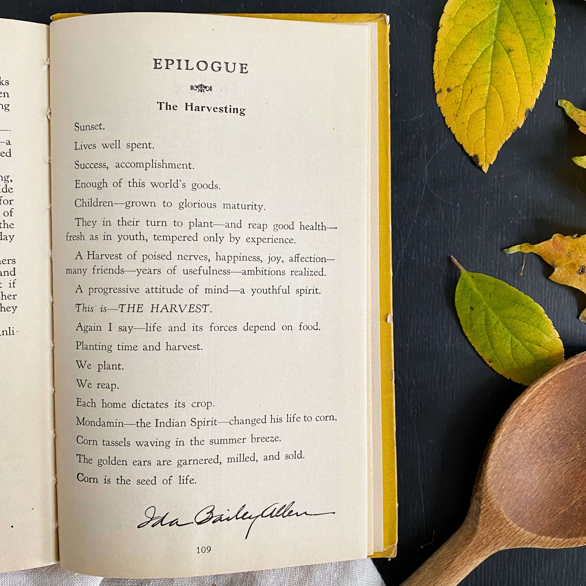 The Modern Method of Preparing Delightful Foods by Ida Bailey Allen - 1927 Edition Second Printing