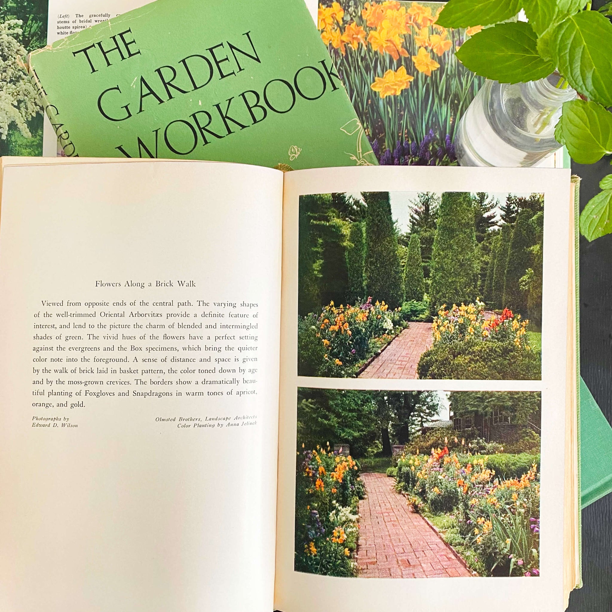 America's Garden Book by Louise & James Bush-Brown  - 1939 First Edition