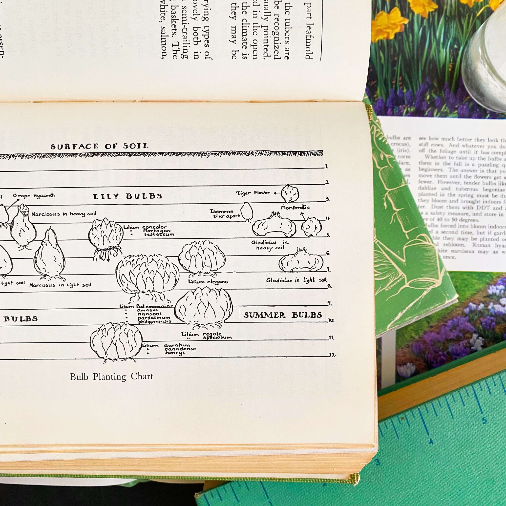 America's Garden Book by Louise & James Bush-Brown  - 1939 First Edition