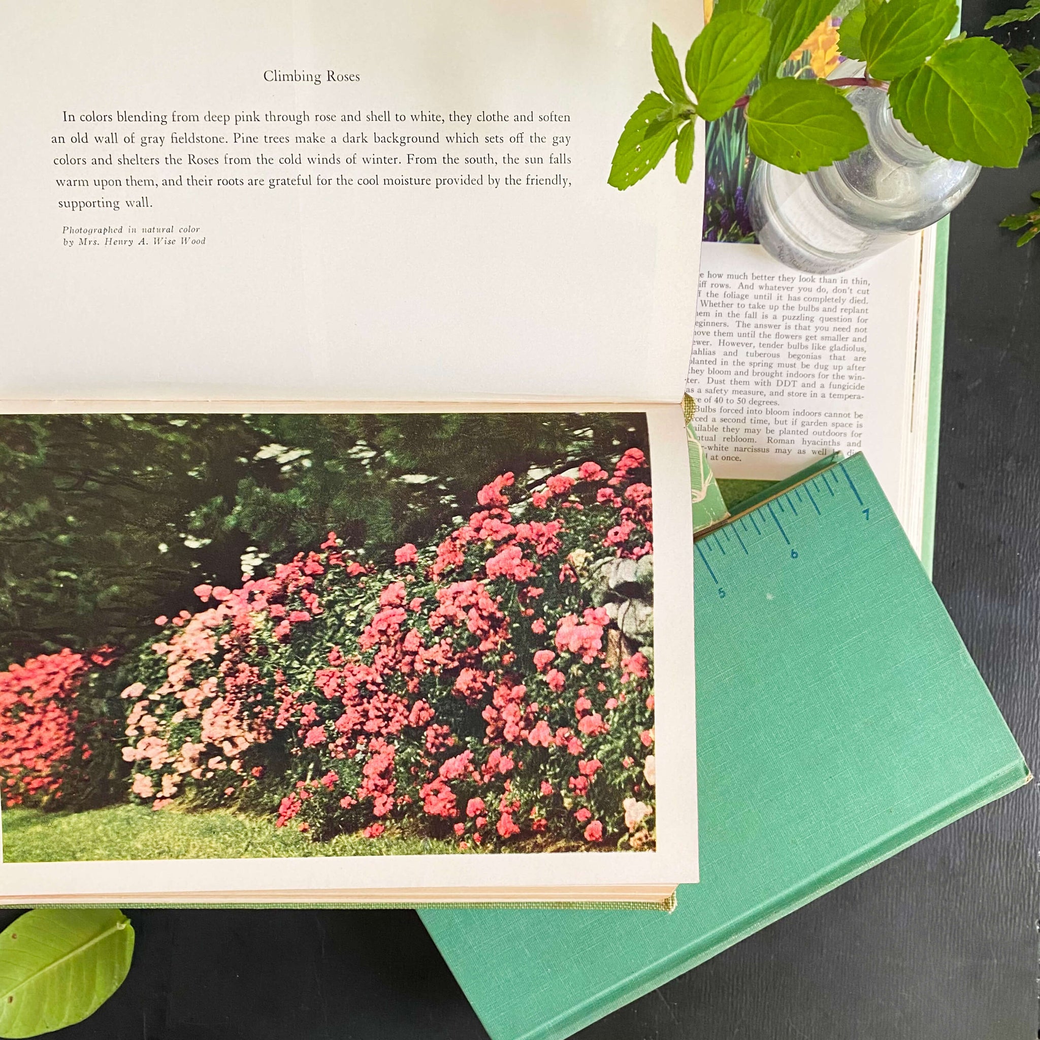 America's Garden Book by Louise & James Bush-Brown  - 1939 First Edition