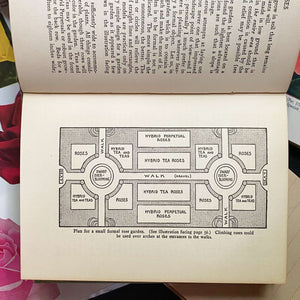 Roses by F.F. Rockwell - The Home Garden Handbooks Series circa 1930