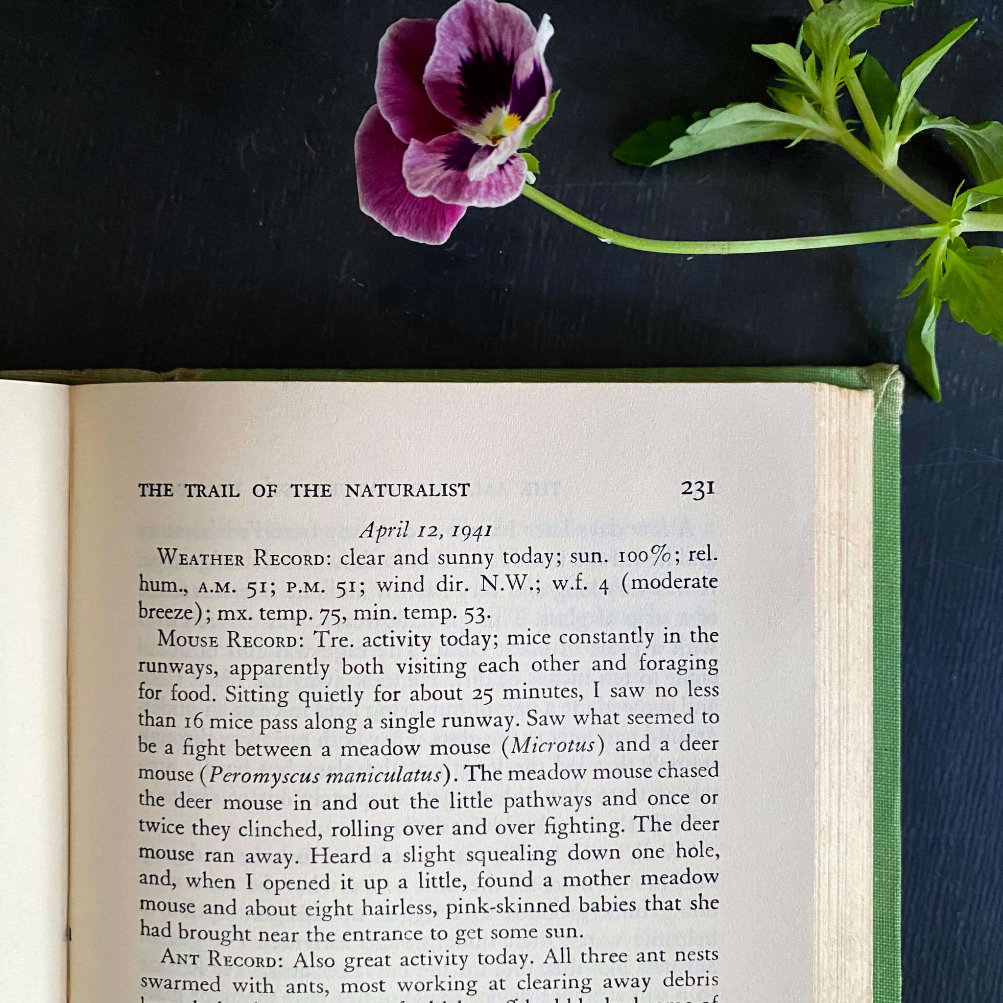 The Amateur Naturalist's Handbook by Vinson Brown - 1948 Edition 12th Printing