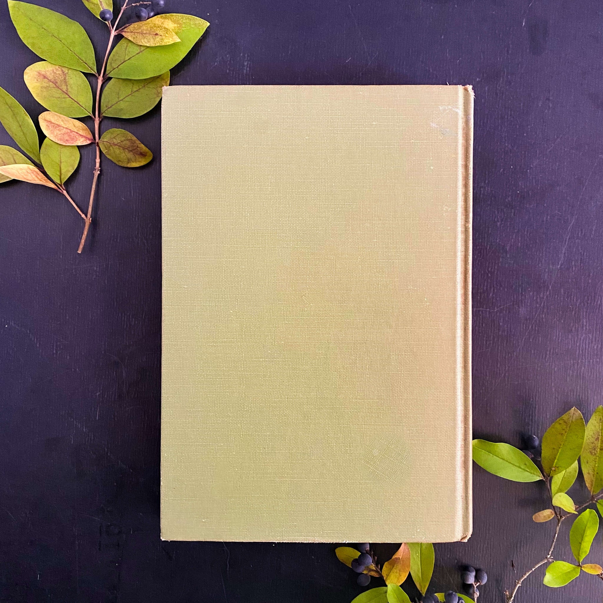 Gardening Short Cuts by M. G. Kains - 1943 Edition Fifth Printing