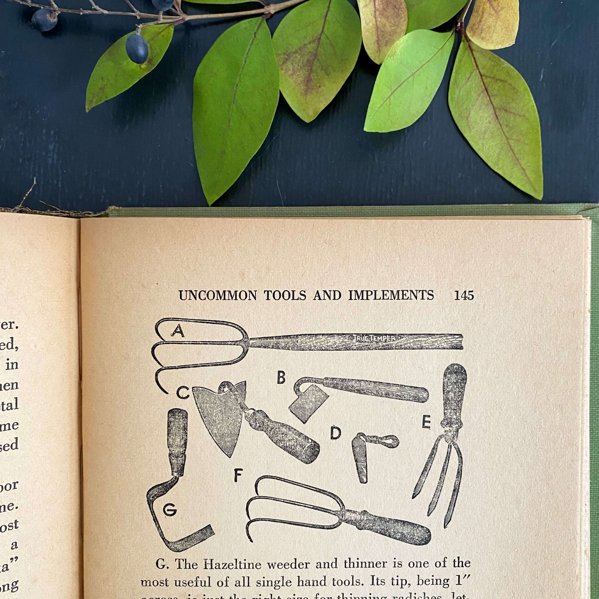 Gardening Short Cuts by M. G. Kains - 1943 Edition Fifth Printing