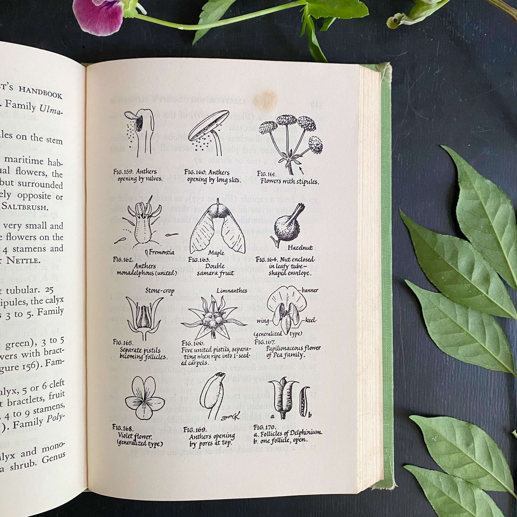 The Amateur Naturalist's Handbook by Vinson Brown - 1948 Edition 12th Printing