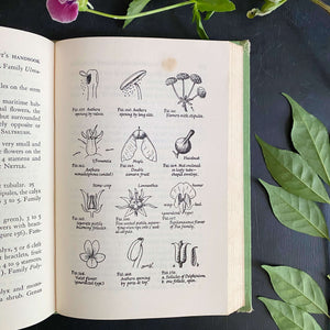 The Amateur Naturalist's Handbook by Vinson Brown - 1948 Edition 12th Printing