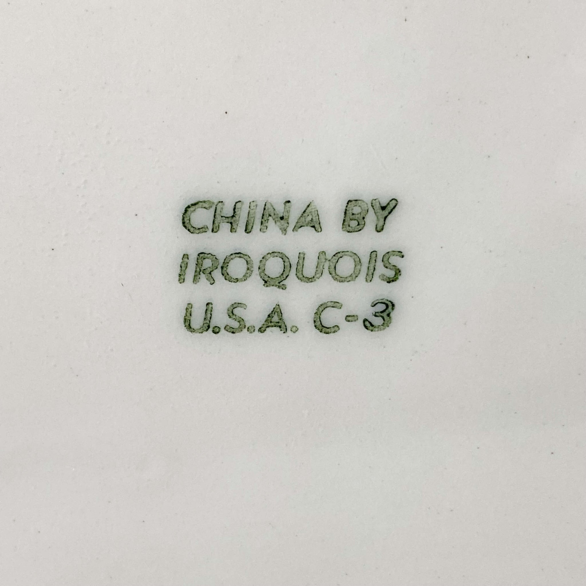 Vintage 1940s Iroquois China Restaurant Ware Oval Side Dish -  Green Swag #1037