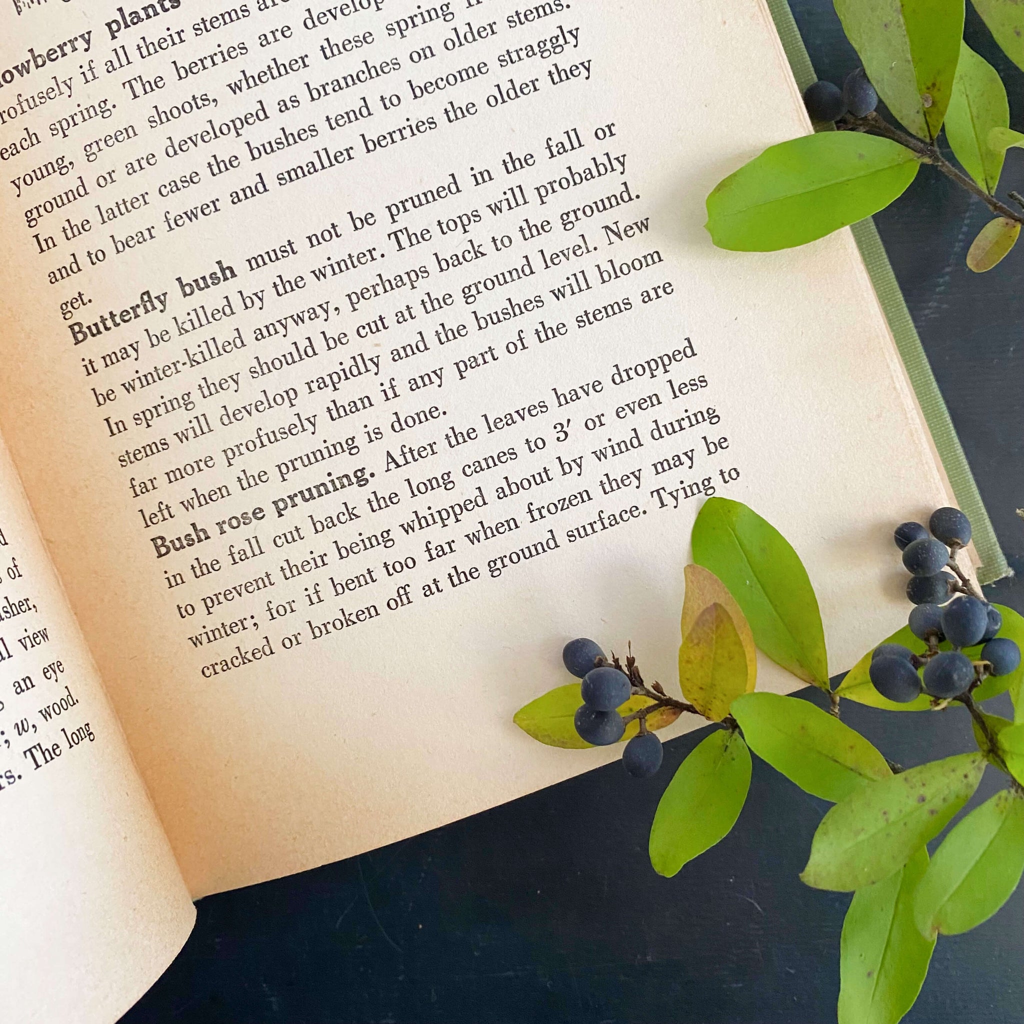 Gardening Short Cuts by M. G. Kains - 1943 Edition Fifth Printing