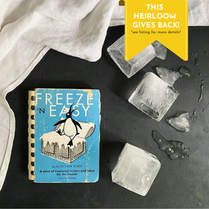 Freeze 'N Easy by Ruth Chier Rosen  - 1960 Edition