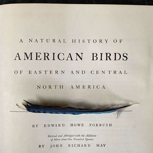 Vintage 1950s Bird Identification book - A Natural History of American Birds of Eastern and Central North America circa 1955