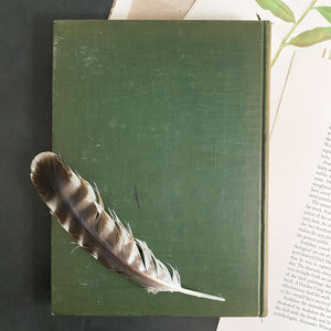 Bird Neighbors by Neltje Blanchan - 1898 Edition Fifth Printing