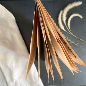 The Harvest Cook Book by the Ladies of the Grand Army of the Republic, New Haven CT circa 1890s-1908 - Rare Victorian Recipe Pamphlet