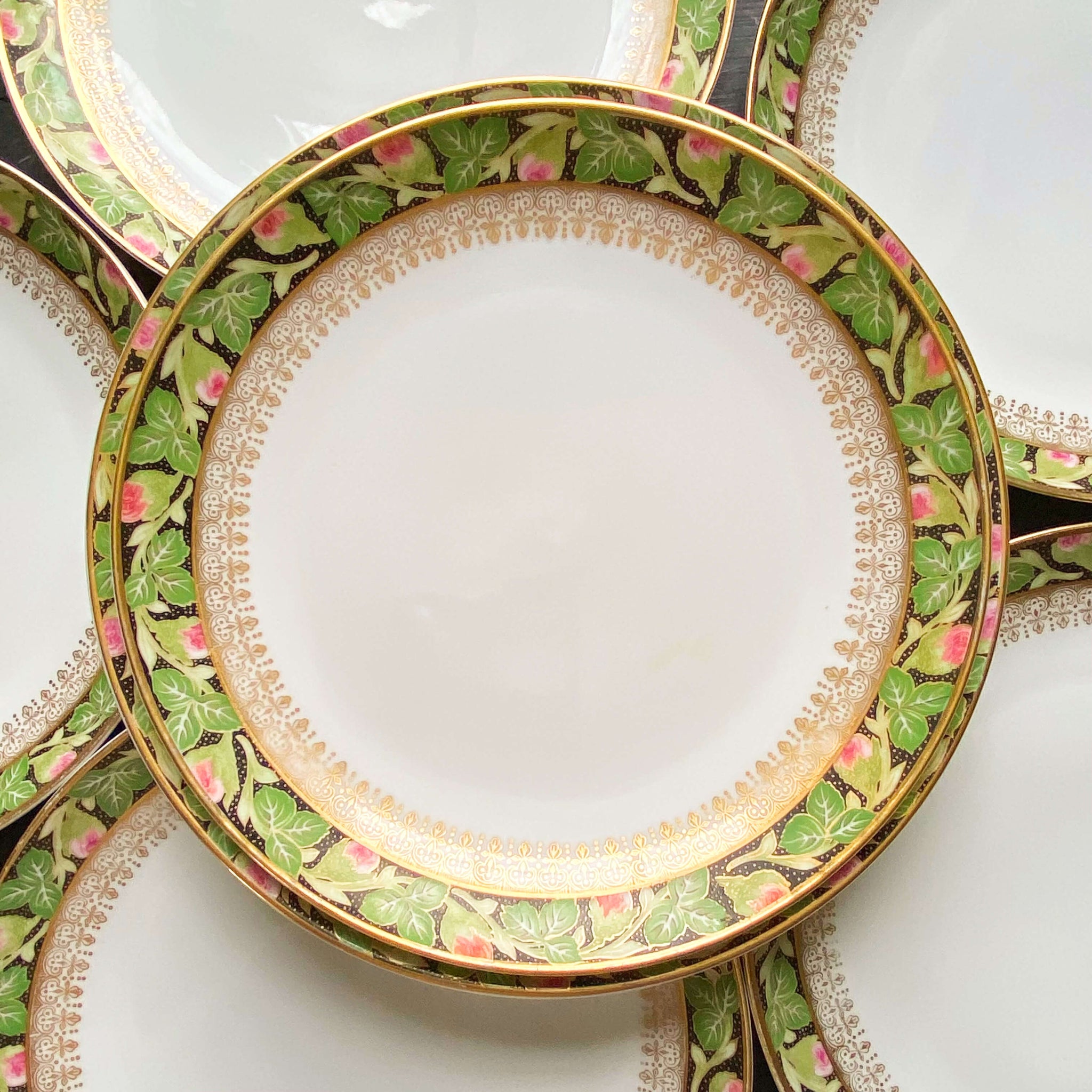 Antique Hutschenreuther Porcelain Salad and Dessert Plates - Set of 10 circa 1857-1920