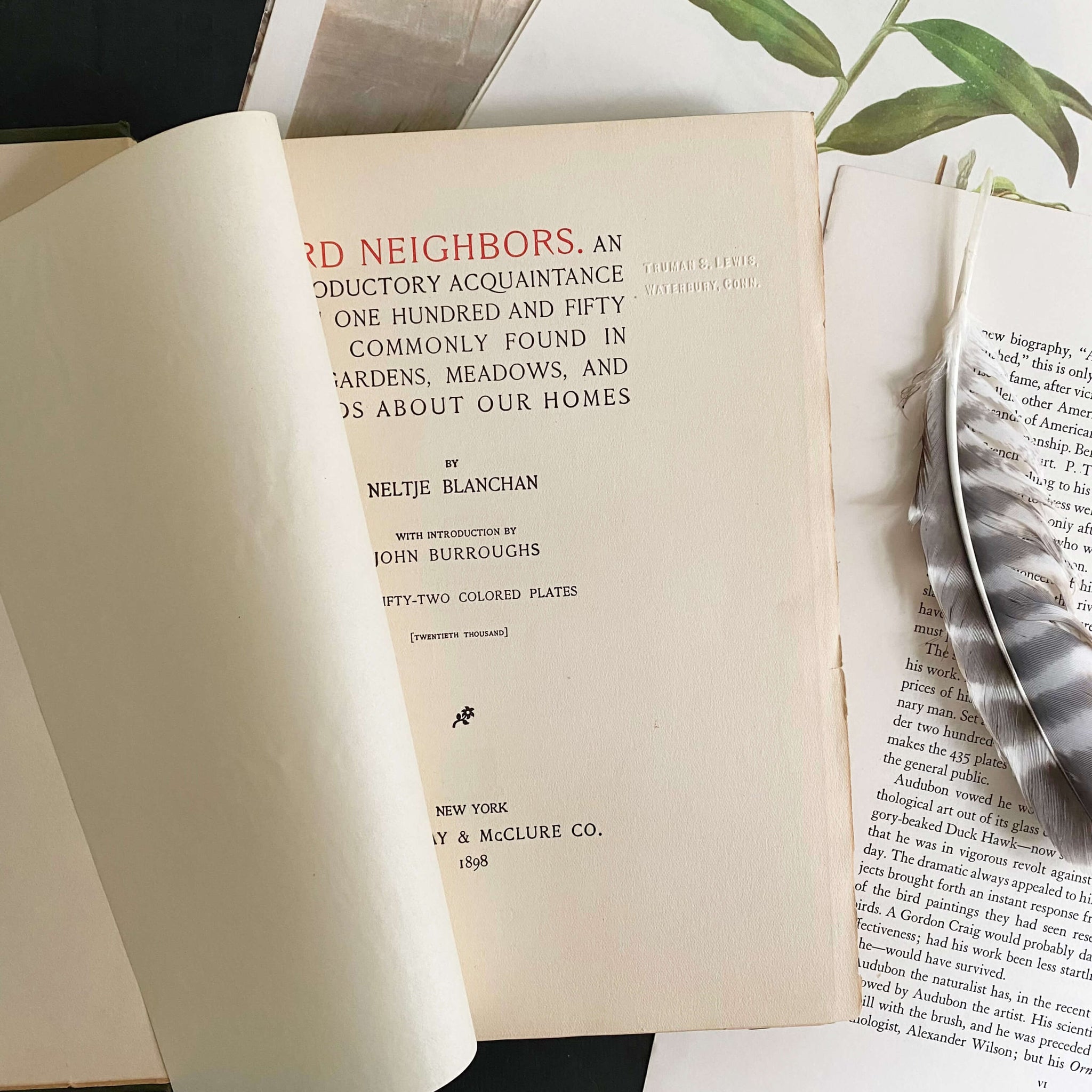 Bird Neighbors by Neltje Blanchan - 1898 Edition Fifth Printing