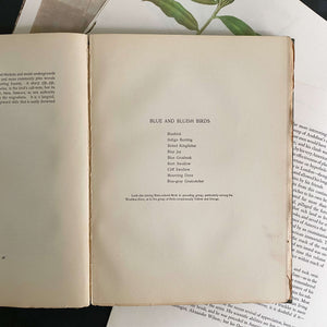 Bird Neighbors by Neltje Blanchan - 1898 Edition Fifth Printing