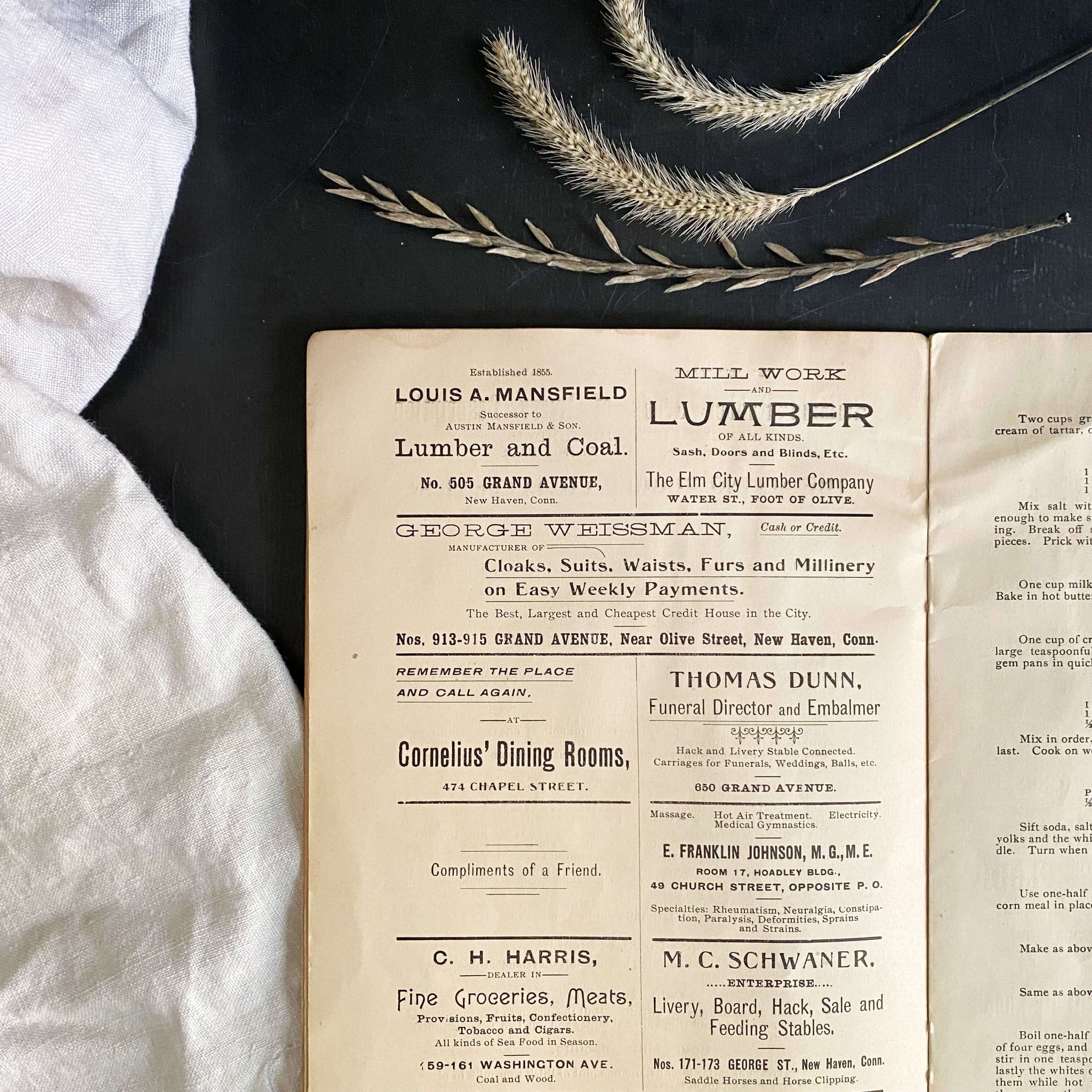 The Harvest Cook Book by the Ladies of the Grand Army of the Republic, New Haven CT circa 1890s-1908 - Rare Victorian Recipe Pamphlet