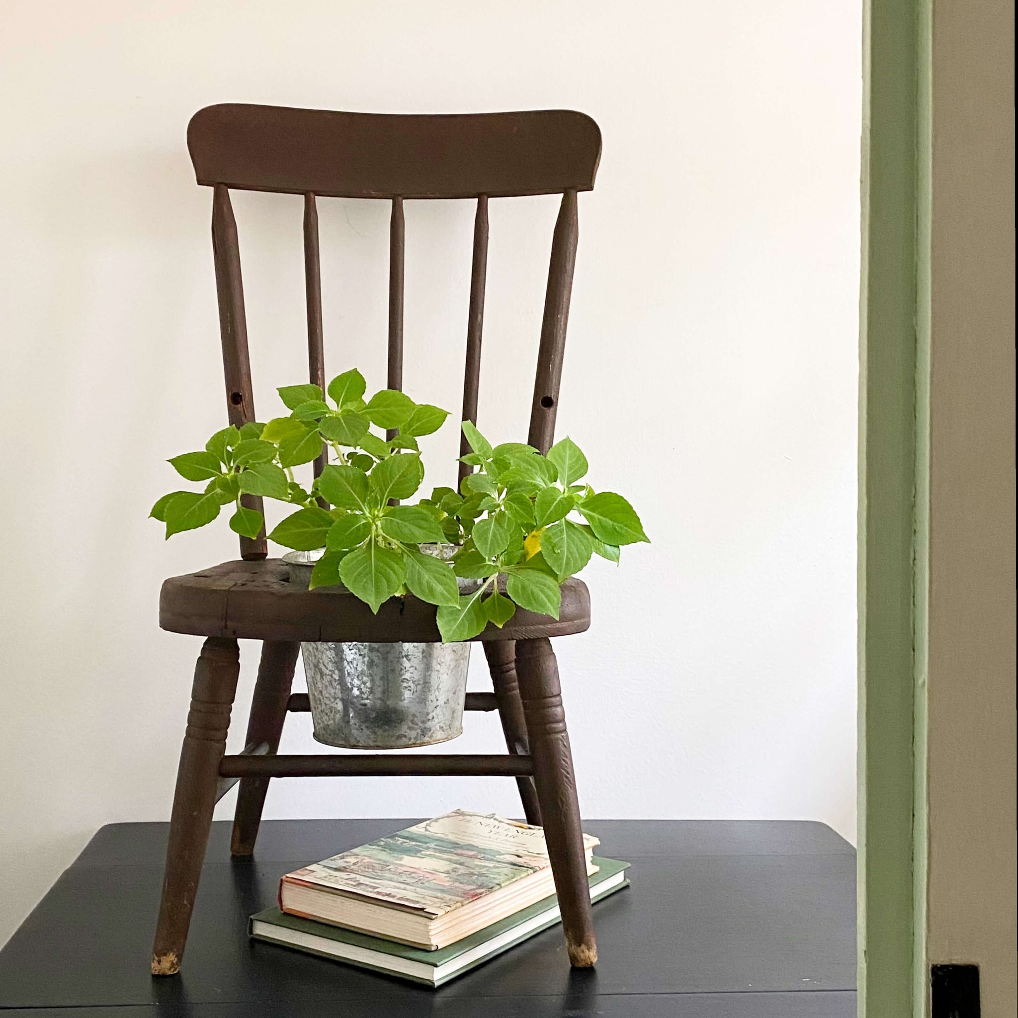 Antique Windsor Style Children's Potty Chair - Repurposed Plant Stand