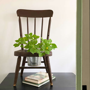 Antique Windsor Style Children's Potty Chair - Repurposed Plant Stand