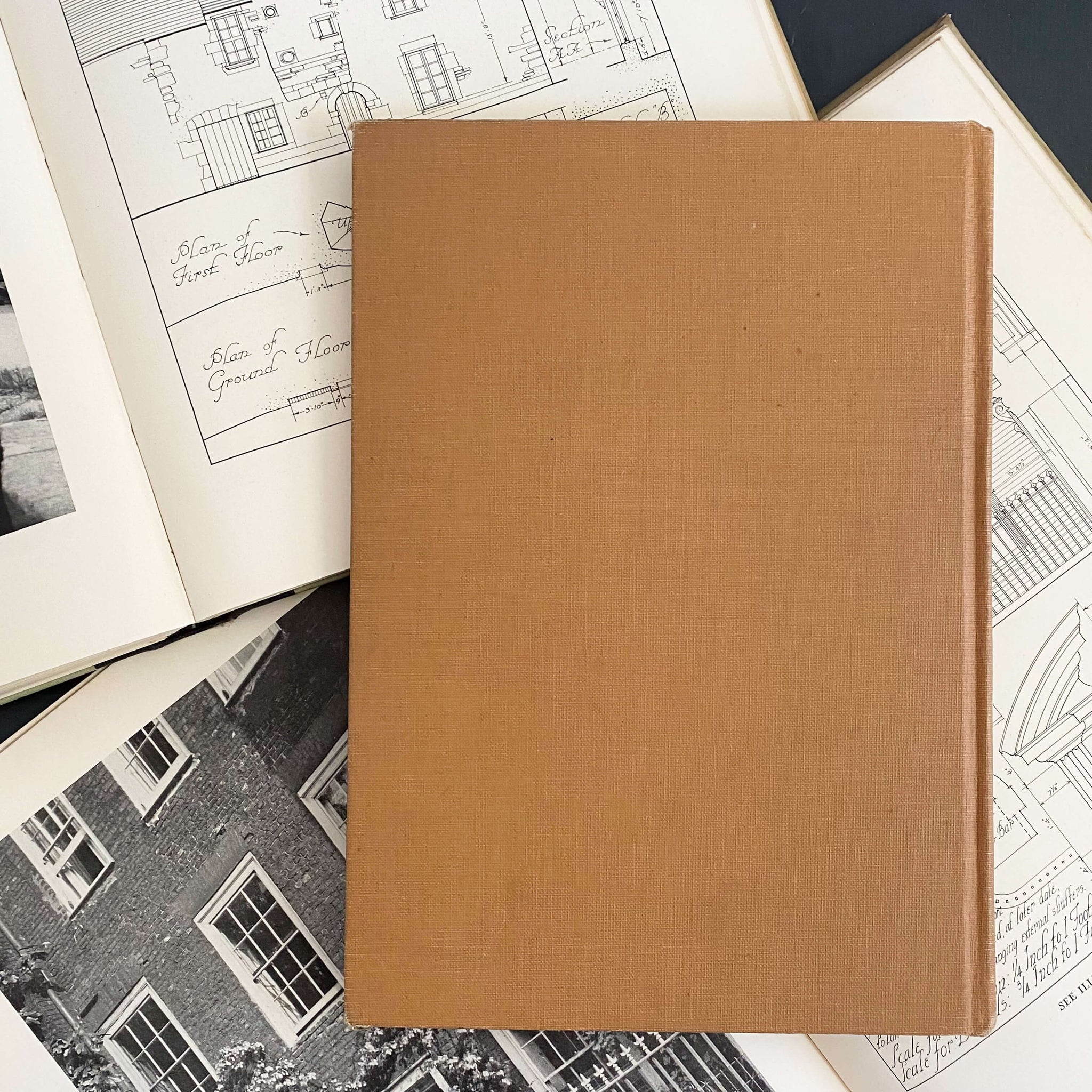 The Book of Dogs by Louis Agassiz Fuertes - National Geographic Society circa 1919 Rare Book