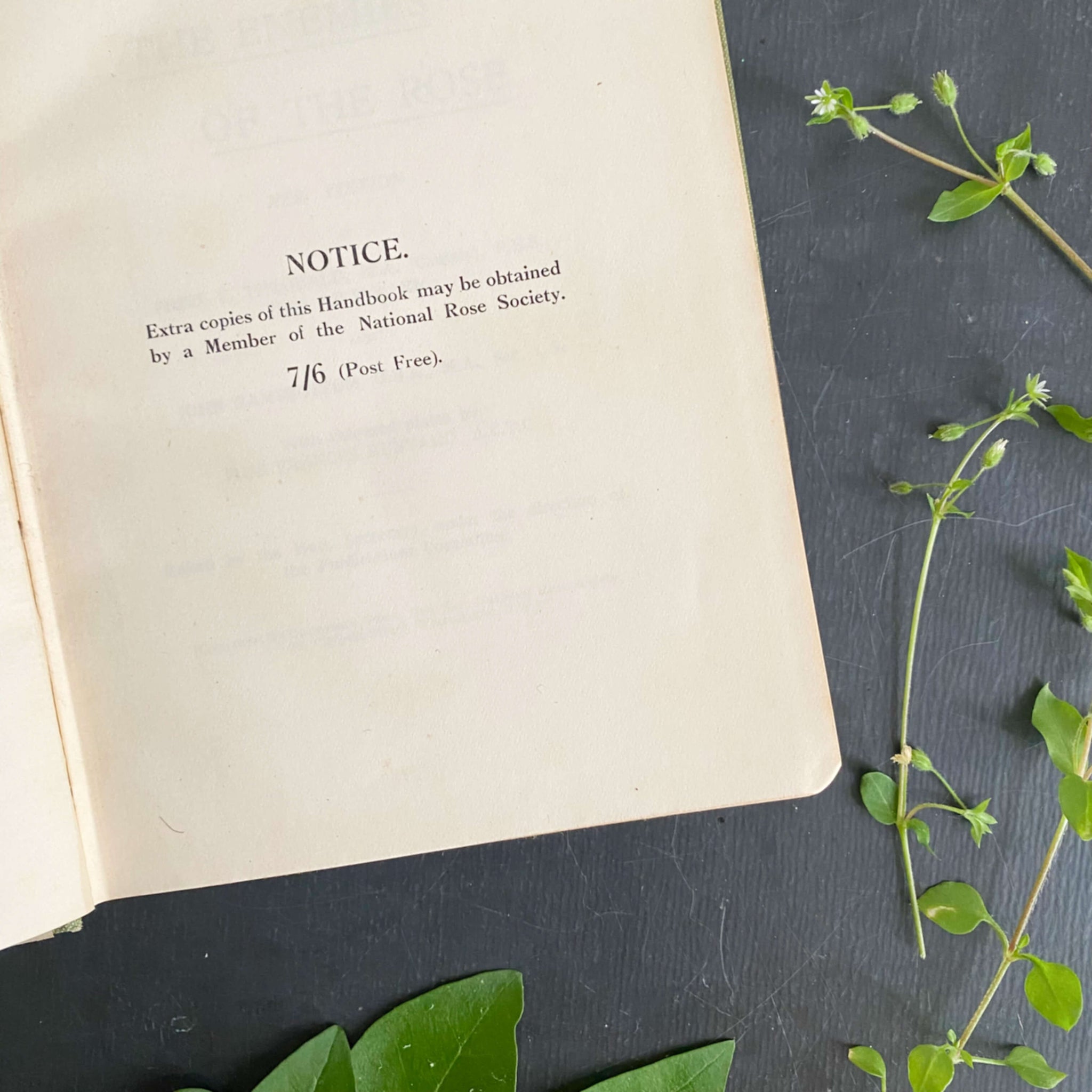 The Enemies of the Rose by Frederick Theobold for The National Rose Society circa 1925-1930