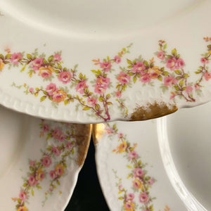 Antique Theodore Haviland Limoges Dinner Plates with Pink and Peach Roses - Set of Five circa 1903