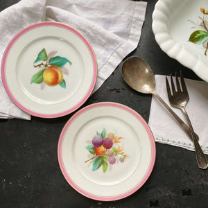 Antique Handpainted Porcelain Fruit Plates with Pink Striped Rim  - Set of Two