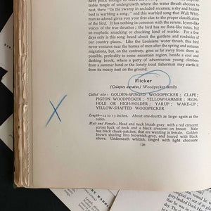 Bird Neighbors by Neltje Blanchan - 1898 Edition Fifth Printing