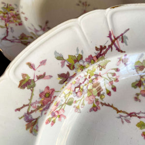 Antique Swedish Soup Bowls Gustafsberg Opak Hawthorn Pattern - Set of Five circa 1910-1940