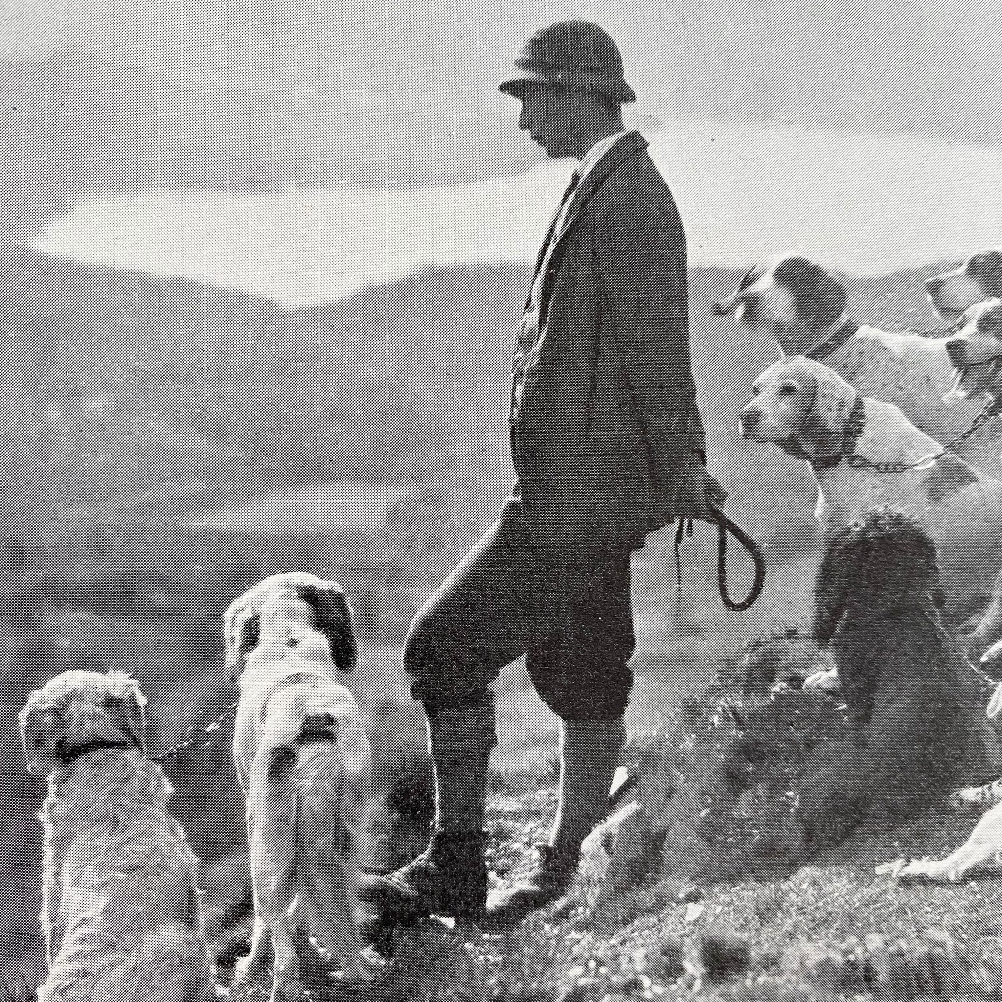 The Book of Dogs by Louis Agassiz Fuertes - National Geographic Society circa 1919 Rare Book