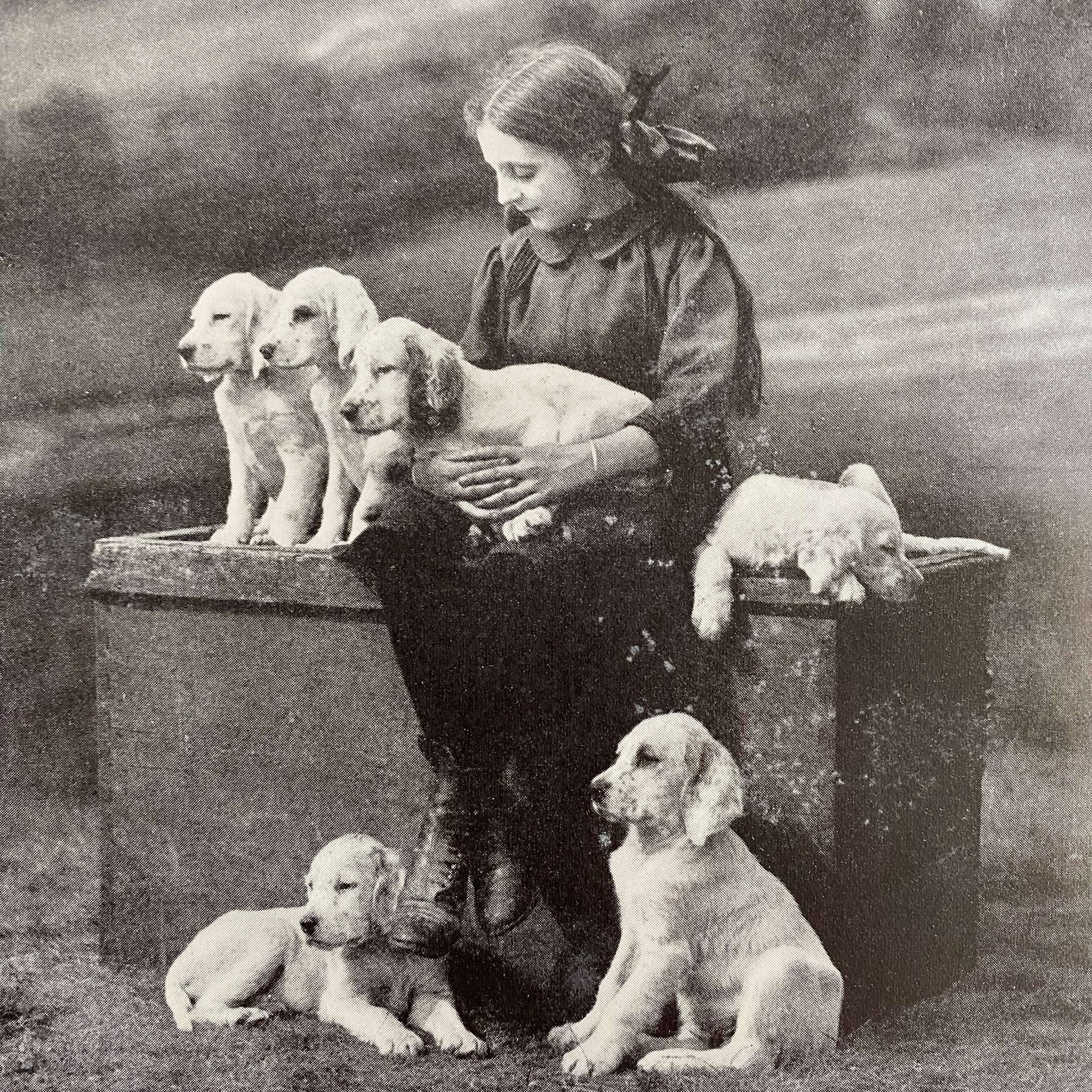 The Book of Dogs by Louis Agassiz Fuertes - National Geographic Society circa 1919 Rare Book