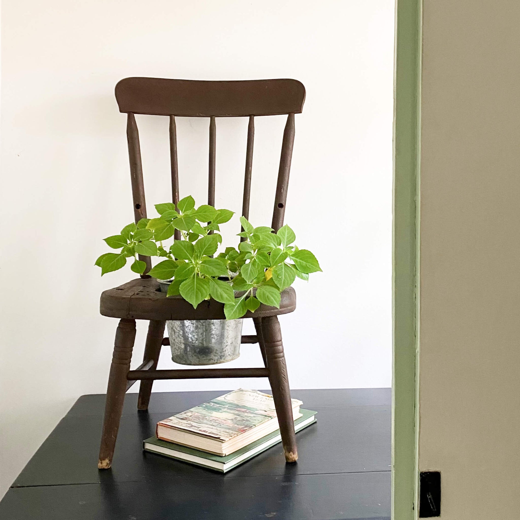 Antique Windsor Style Children's Potty Chair - Repurposed Plant Stand