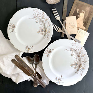DISHES – In The Vintage Kitchen Shop