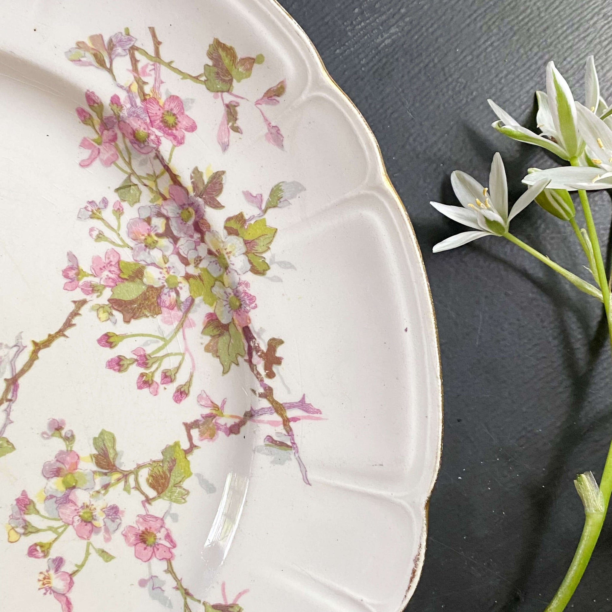 Antique Swedish Gustafsberg Opak Dinner Plate - Hawthorn/Hagtorn Pattern circa 1914-1940
